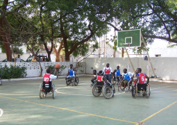 wheelchair basket